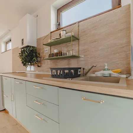 Behome Tranzit Apartment Zarnesti